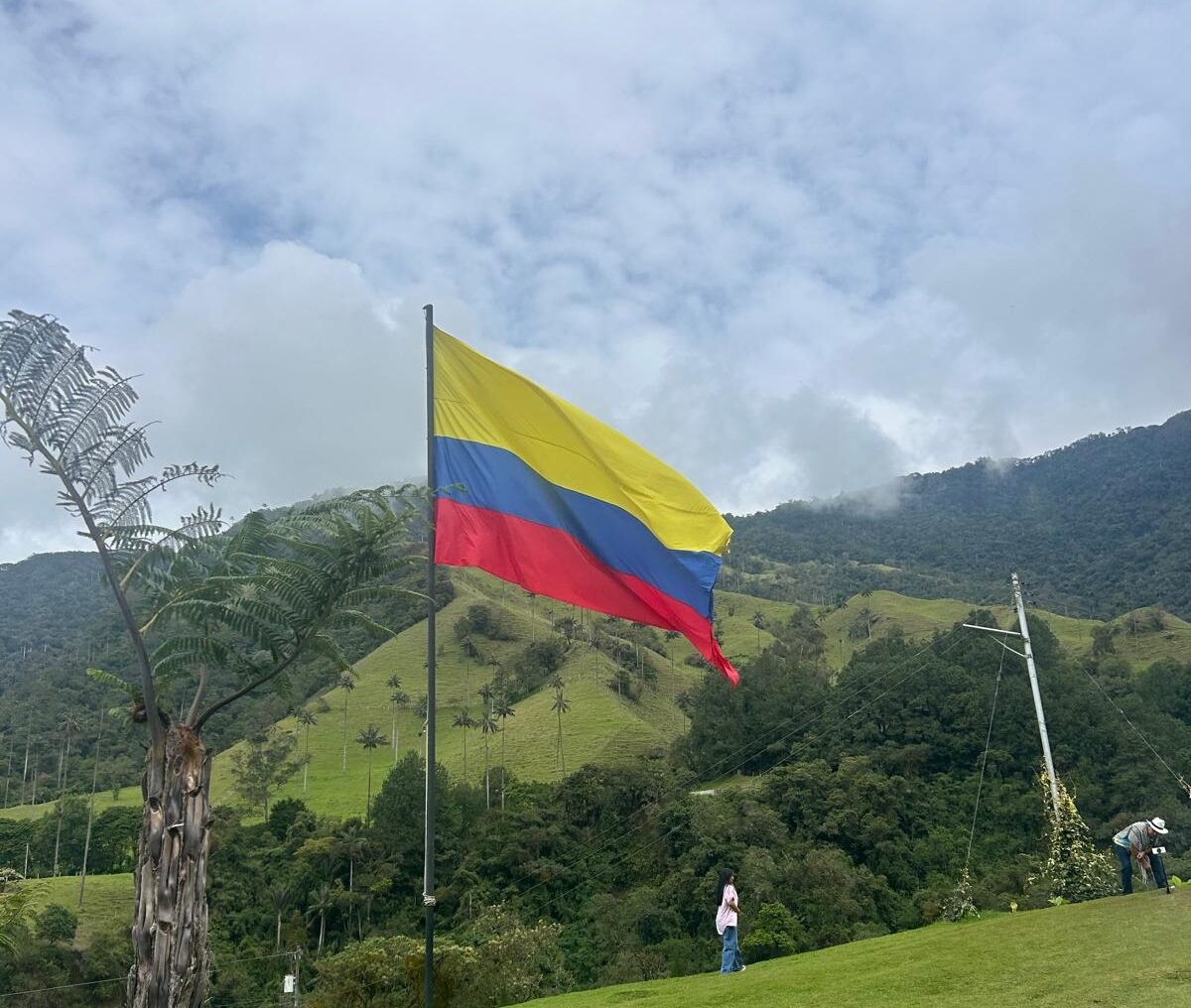 whatsapp image 2026 02 18 at 13.16.24